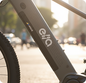 Imagem: Garantia de 1 ano