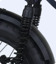 Suspensão traseira dual shock